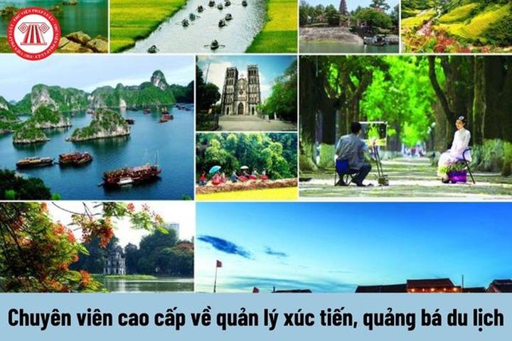 Từ Đam Mê Video Ngắn Đến Thu Nhập Ổn Định: Chuyện Thành Công Của Tôi Với Hotspot Matrix