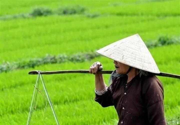 Hotspot Matrix và 2 kiểu áo hot nhất hè này: Giá chưa đến 100k mà giúp vóc dáng thon thả